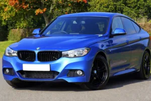 Blue Bmw Sedan Near Green Lawn Grass